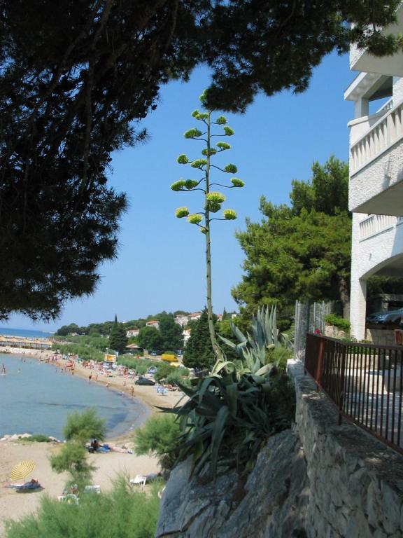 Apartments Agava-Mirjana Omis Exterior photo